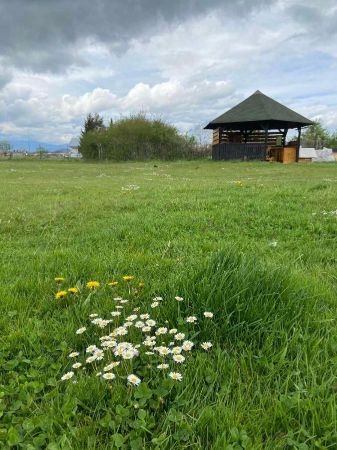 App Parcela Celje Exteriér fotografie